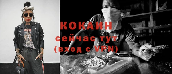 Альфа ПВП Бикин