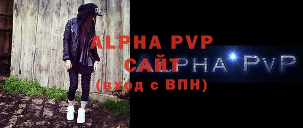 индика Бородино