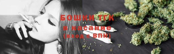 Альфа ПВП Бикин