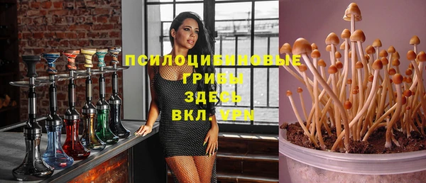 индика Бородино