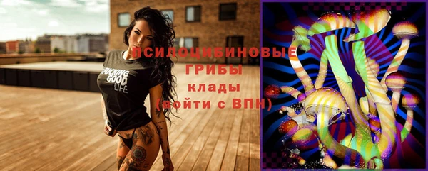 дмт Богородск