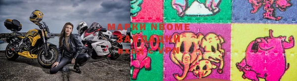 трава Богородицк