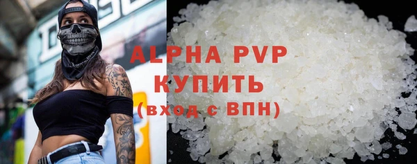 индика Бородино